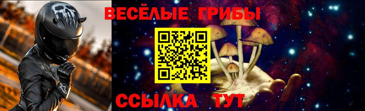 Галлюциногенные грибы GOLDEN TEACHER  Вход с VPN  Армавир 